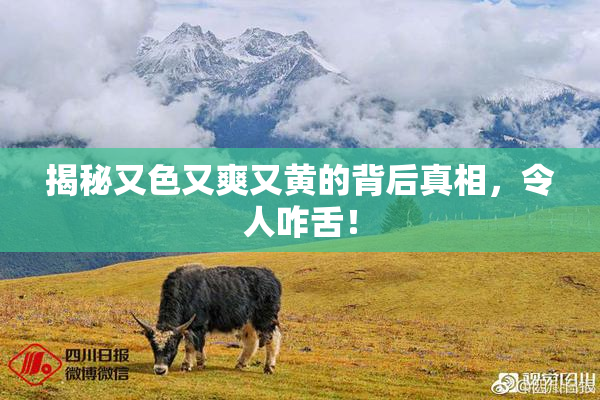 揭秘又色又爽又黄的背后真相，令人咋舌！