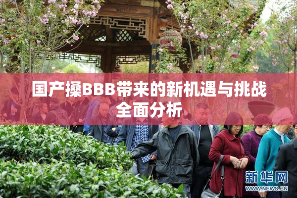 国产搡BBB带来的新机遇与挑战全面分析