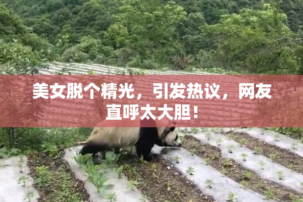 美女脱个精光，引发热议，网友直呼太大胆！