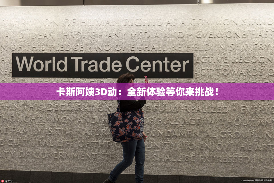 卡斯阿姨3D动：全新体验等你来挑战！