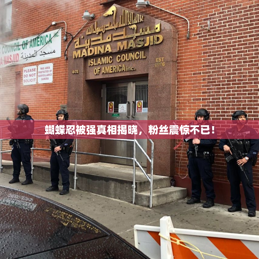 蝴蝶忍被强真相揭晓，粉丝震惊不已！