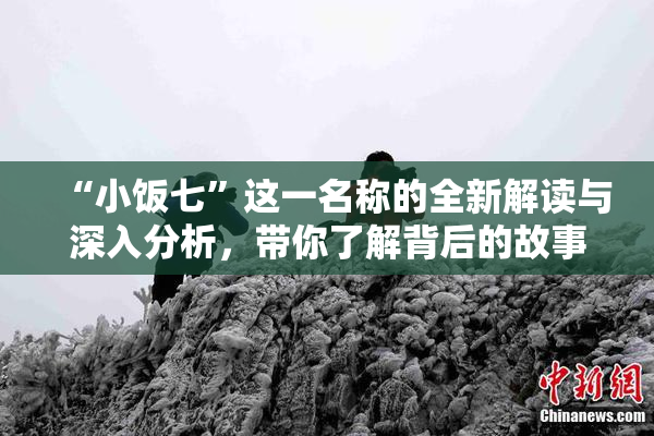 “小饭七”这一名称的全新解读与深入分析，带你了解背后的故事与文化。