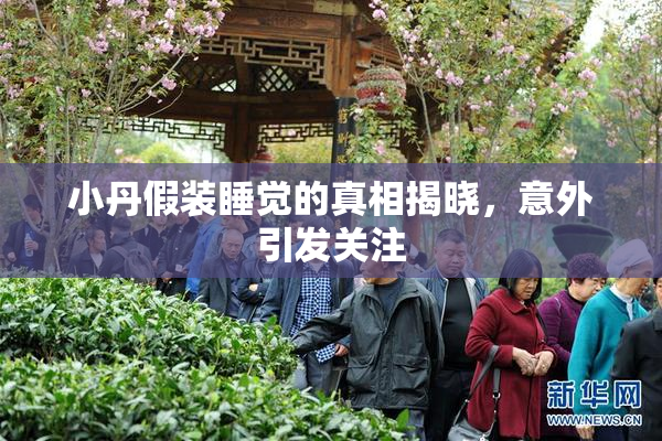 小丹假装睡觉的真相揭晓，意外引发关注