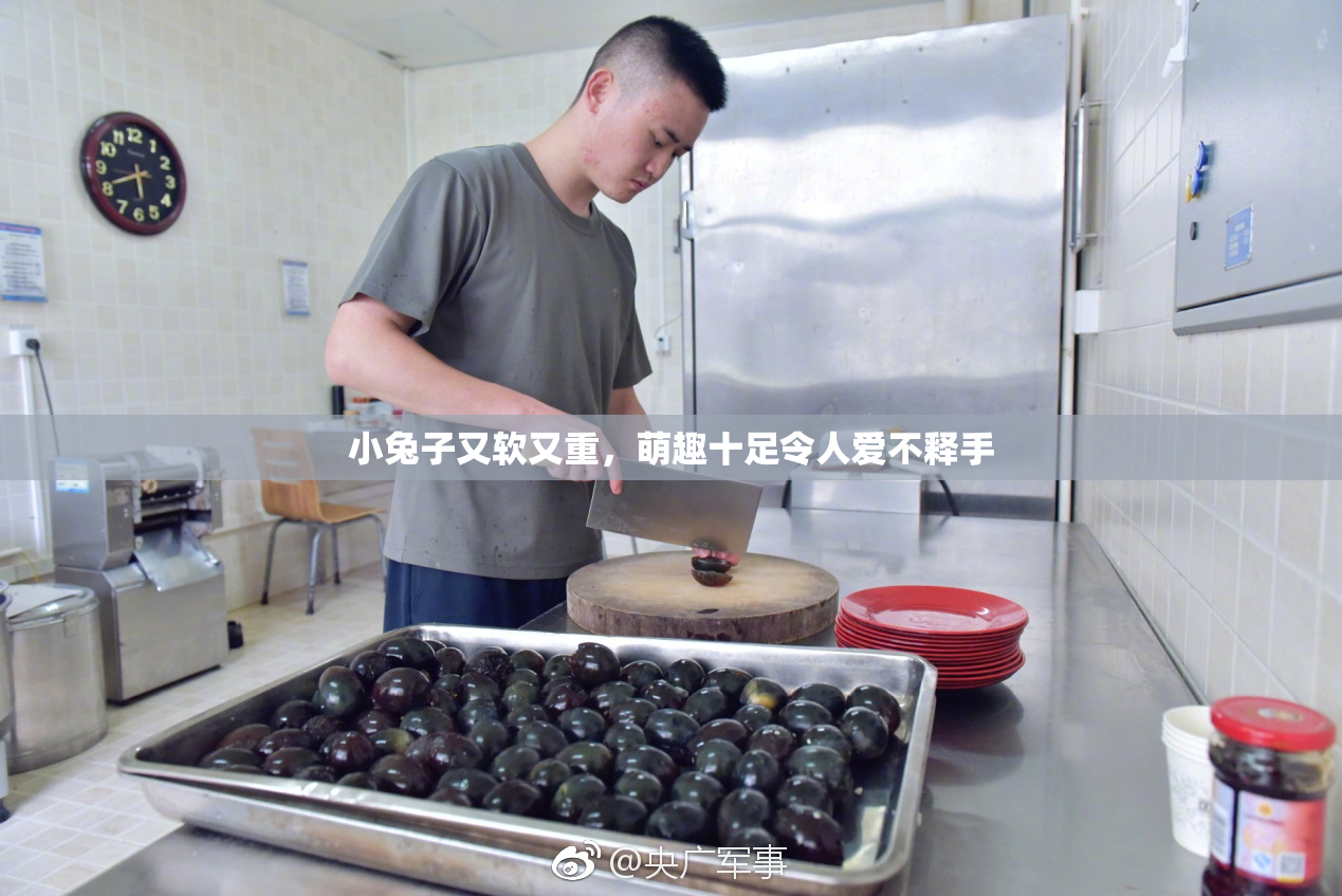 小兔子又软又重，萌趣十足令人爱不释手
