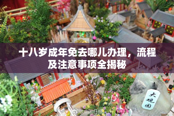 十八岁成年免去哪儿办理，流程及注意事项全揭秘