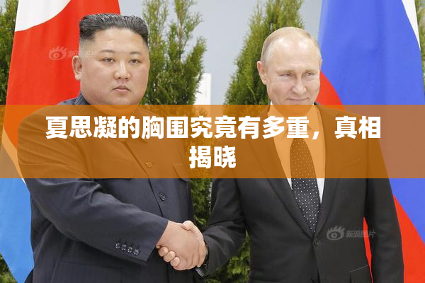 夏思凝的胸围究竟有多重，真相揭晓