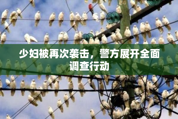 少妇被再次袭击，警方展开全面调查行动