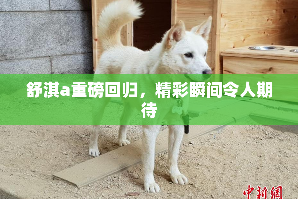 舒淇a重磅回归，精彩瞬间令人期待