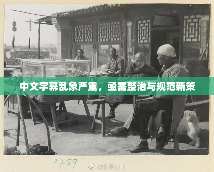 中文字幕乱象严重，亟需整治与规范新策