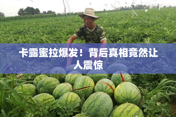卡露蜜拉爆发！背后真相竟然让人震惊