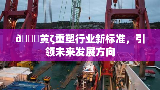 🔞黄ζ重塑行业新标准，引领未来发展方向