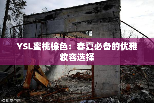 YSL蜜桃棕色：春夏必备的优雅妆容选择