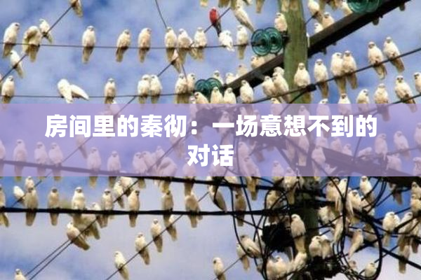房间里的秦彻：一场意想不到的对话