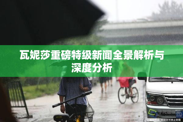 瓦妮莎重磅特级新闻全景解析与深度分析