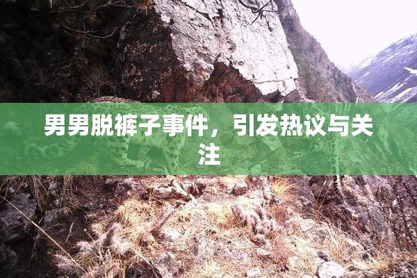 男男脱裤子事件，引发热议与关注