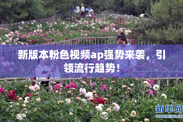 新版本粉色视频ap强势来袭，引领流行趋势！