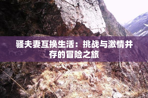 骚夫妻互换生活：挑战与激情并存的冒险之旅
