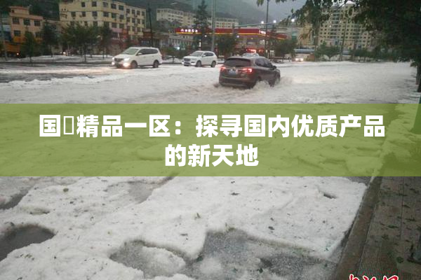 国產精品一区：探寻国内优质产品的新天地