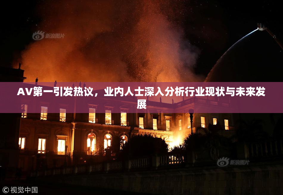 AV第一引发热议，业内人士深入分析行业现状与未来发展