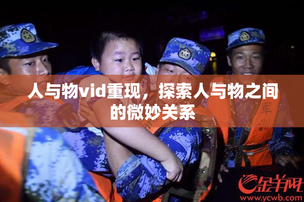 人与物vid重现，探索人与物之间的微妙关系