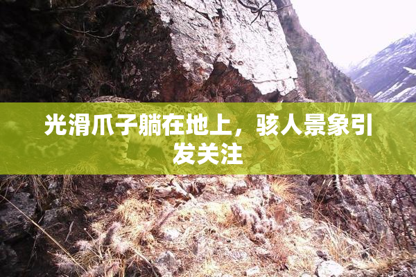 光滑爪子躺在地上，骇人景象引发关注