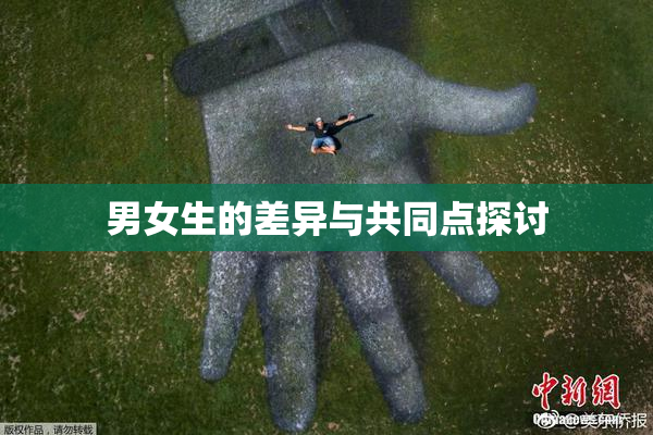 男女生的差异与共同点探讨
