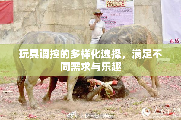 玩具调控的多样化选择，满足不同需求与乐趣