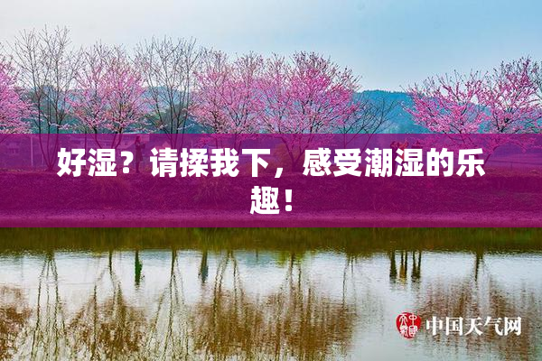 好湿？请揉我下，感受潮湿的乐趣！