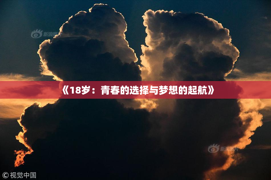 《18岁：青春的选择与梦想的起航》
