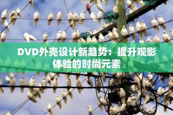 DVD外壳设计新趋势：提升观影体验的时尚元素