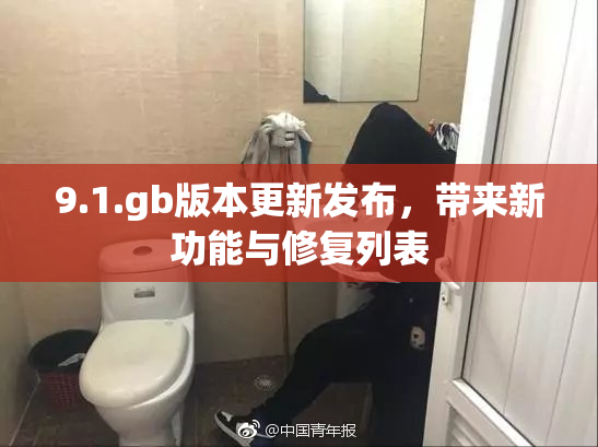 9.1.gb版本更新发布，带来新功能与修复列表