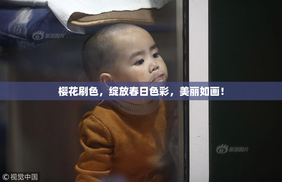 樱花刷色，绽放春日色彩，美丽如画！