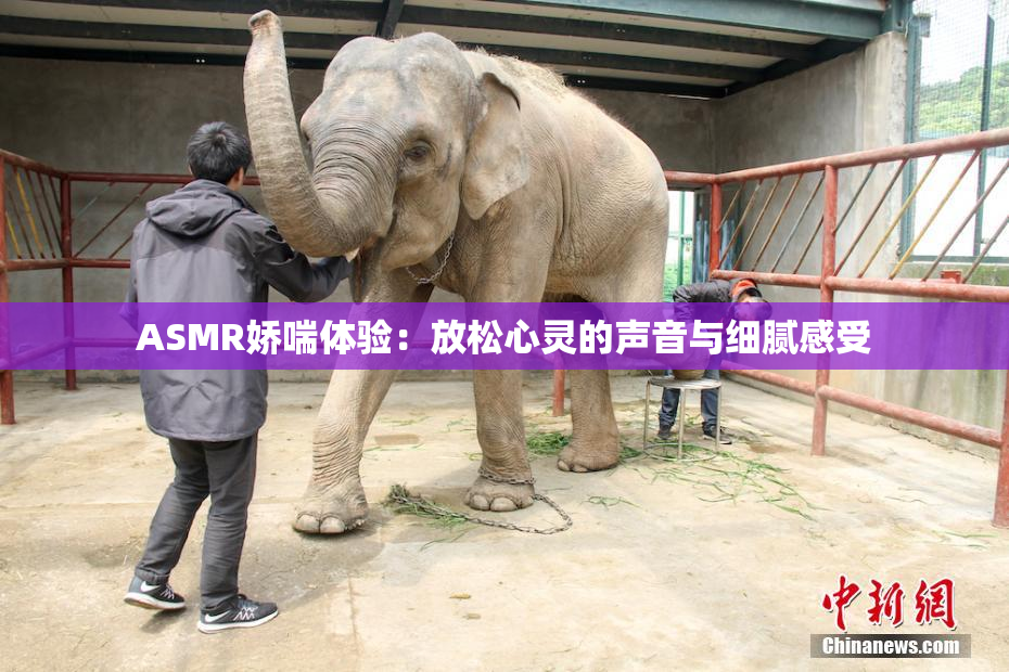 ASMR娇喘体验：放松心灵的声音与细腻感受