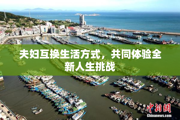 夫妇互换生活方式，共同体验全新人生挑战