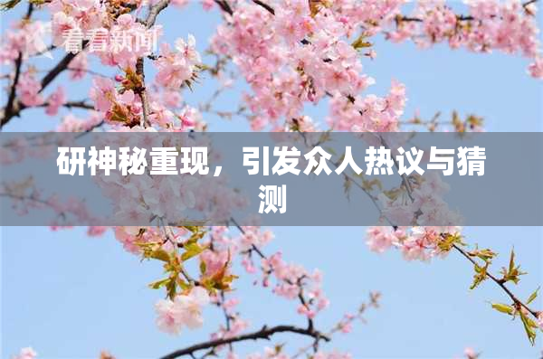 研神秘重现，引发众人热议与猜测