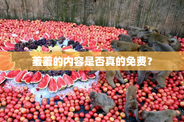 羞羞的内容是否真的免费？