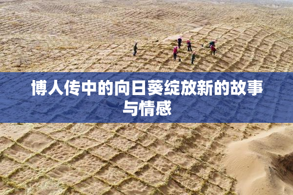 博人传中的向日葵绽放新的故事与情感
