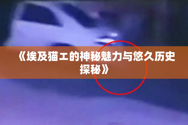 《埃及猫エ的神秘魅力与悠久历史探秘》