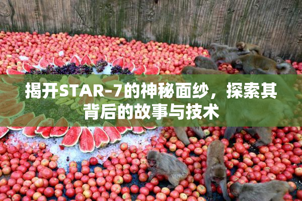 揭开STAR–7的神秘面纱，探索其背后的故事与技术