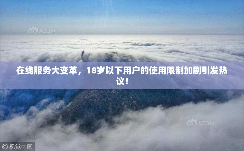 在线服务大变革，18岁以下用户的使用限制加剧引发热议！