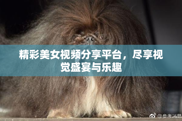 精彩美女视频分享平台，尽享视觉盛宴与乐趣