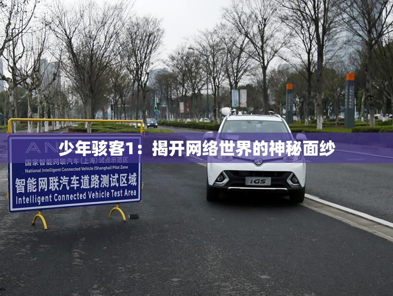 少年骇客1：揭开网络世界的神秘面纱