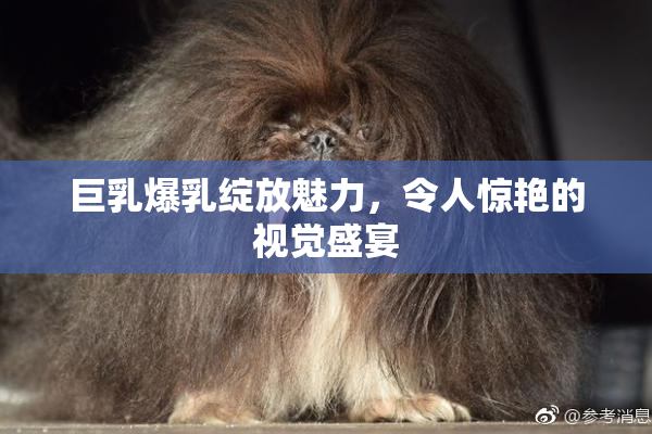 巨乳爆乳绽放魅力，令人惊艳的视觉盛宴