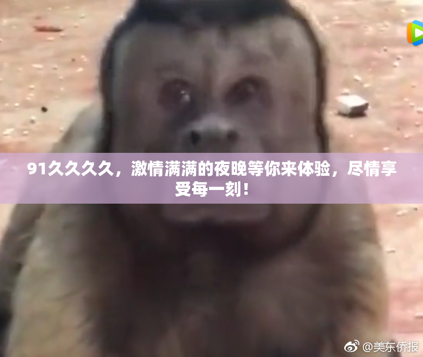91久久久久，激情满满的夜晚等你来体验，尽情享受每一刻！