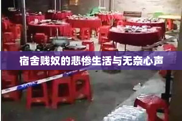 宿舍贱奴的悲惨生活与无奈心声