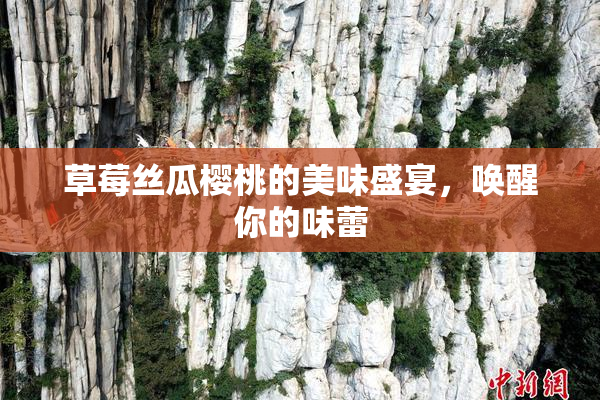 草莓丝瓜樱桃的美味盛宴，唤醒你的味蕾