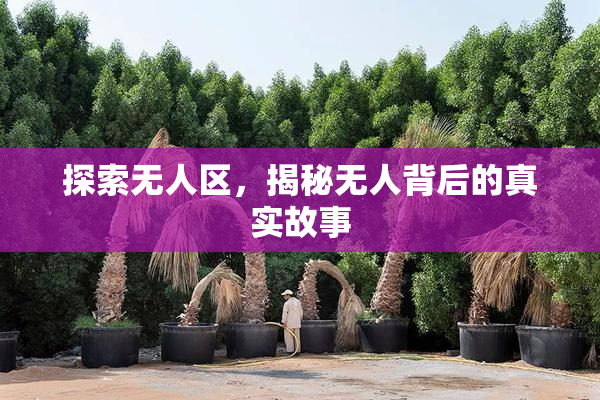 探索无人区，揭秘无人背后的真实故事