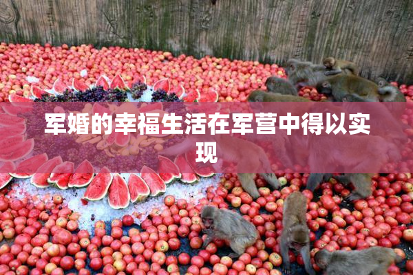 军婚的幸福生活在军营中得以实现
