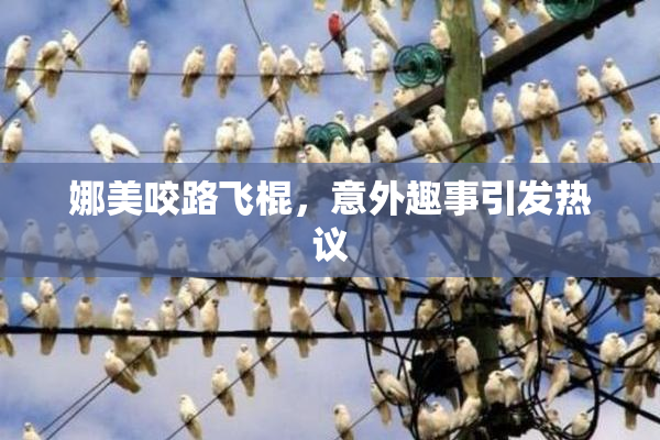 娜美咬路飞棍，意外趣事引发热议