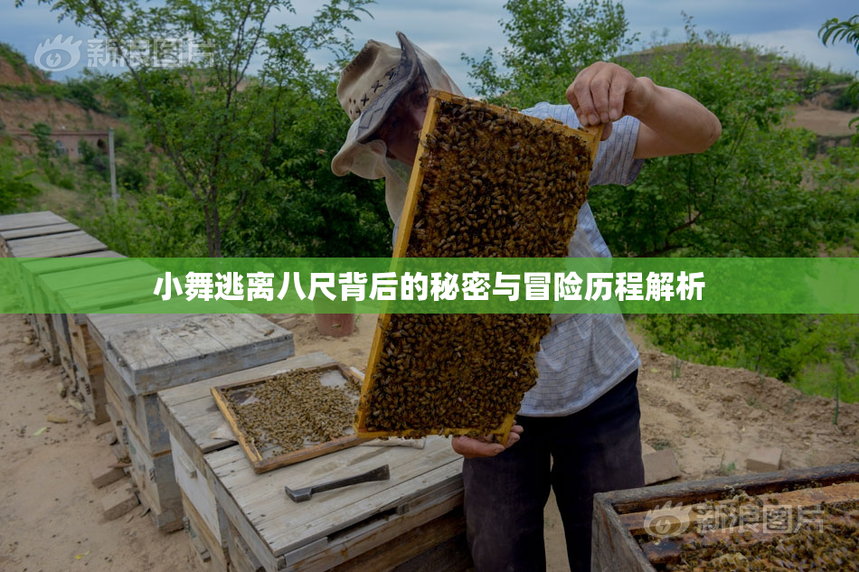 小舞逃离八尺背后的秘密与冒险历程解析